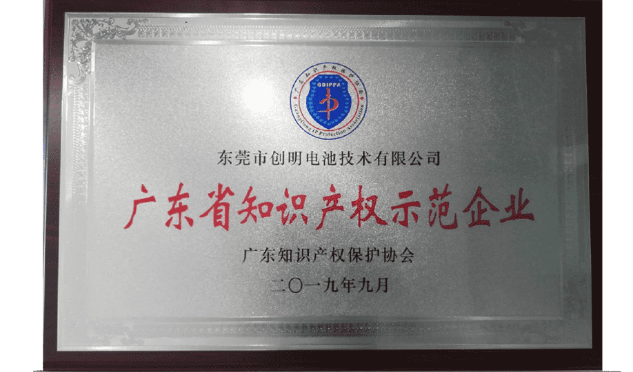 廣東省知識產(chǎn)權示范企業(yè).png
